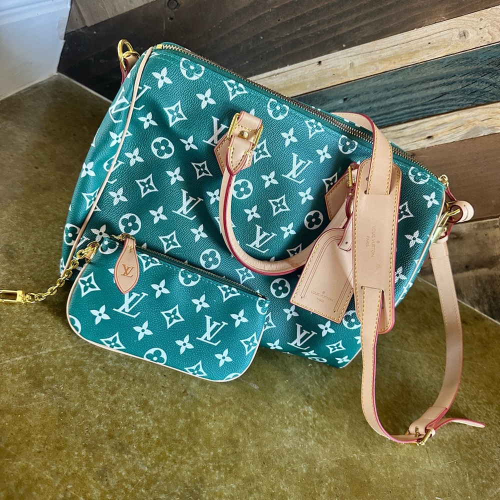 Cute Crossbody or Satchel Bag w/ zipper pouch